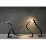 Introducing Hatha Lamp